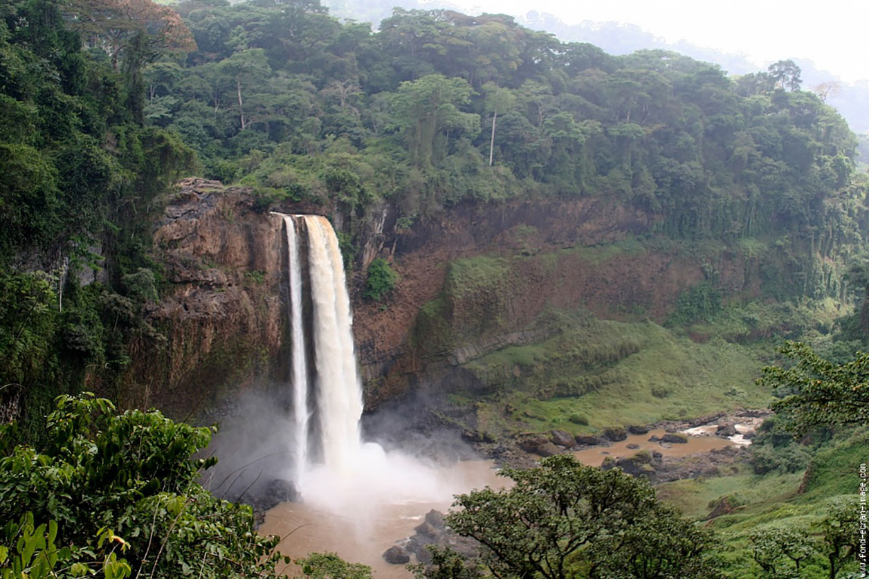 REDD+ : L’évaluation environnementale au scanner