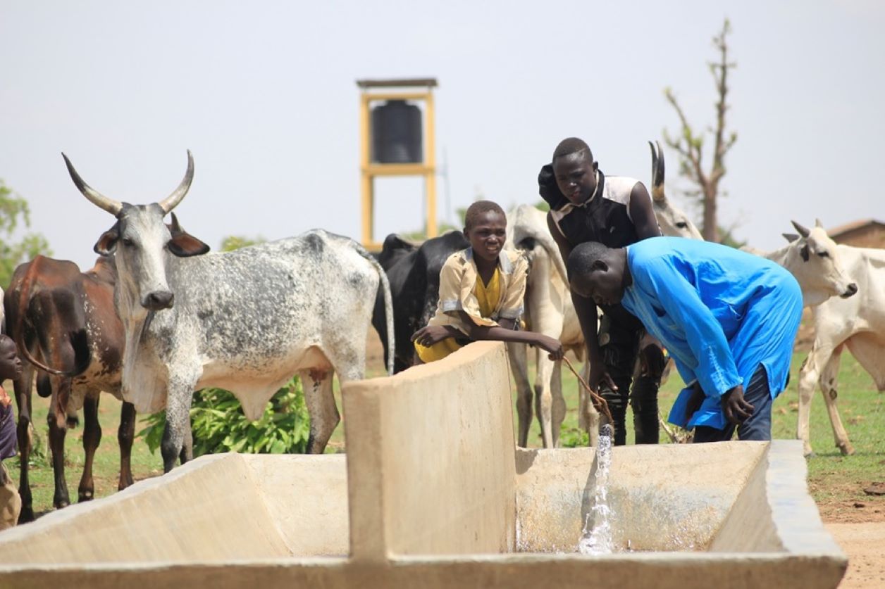 Mayo-Louti : De « l’eau claire » à Kosseyel Daneyel