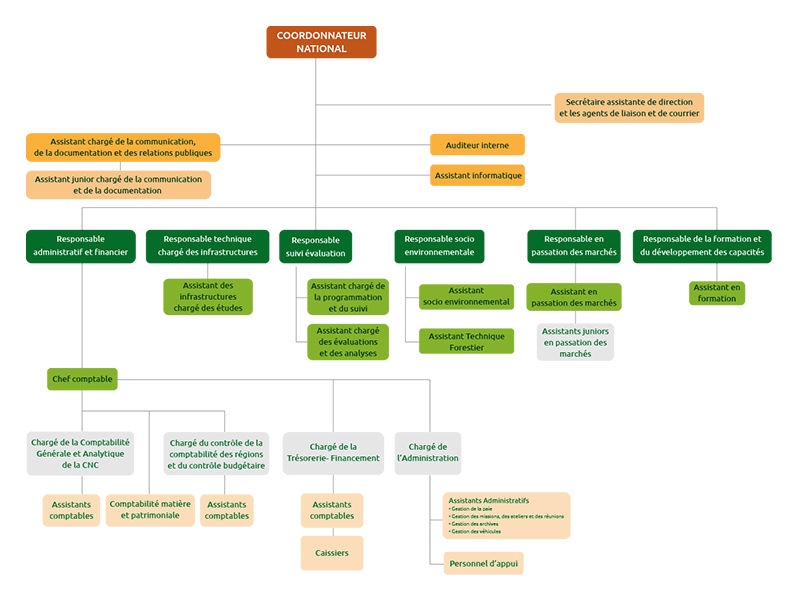 Organigramme de la cellule Nationale de coordination (CNC)